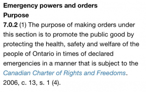 Businesses and Mask Legislations