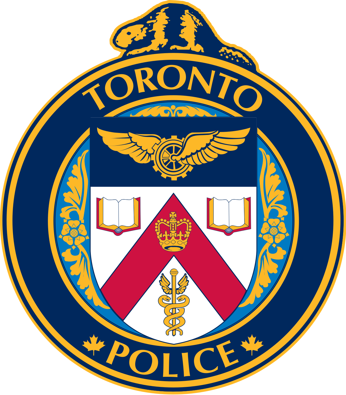 Toronto Police Service In Service Training Program