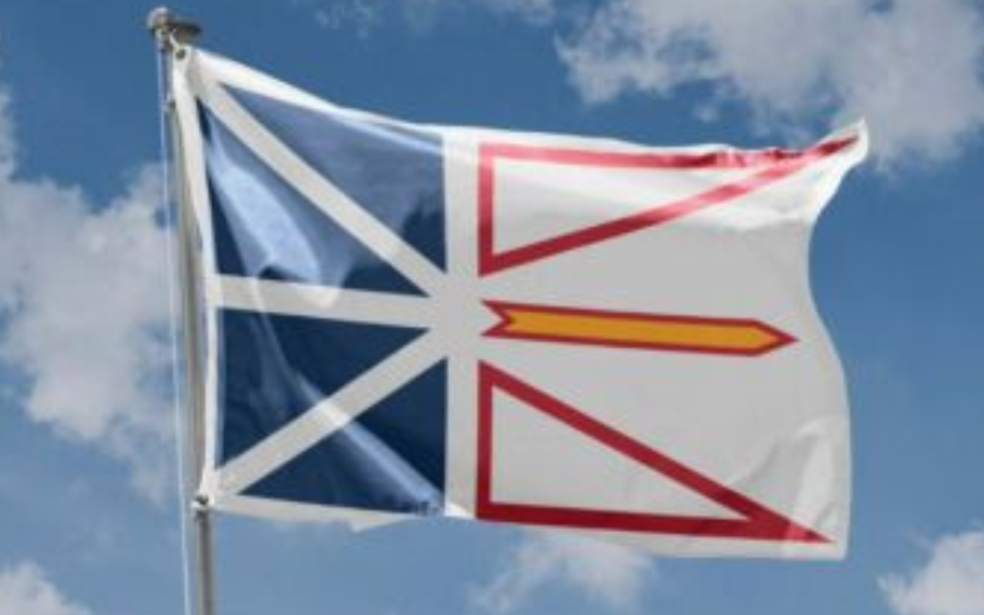 Newfoundland Town Councillor Gets Job Back After Being Removed Due to Vaccine Status