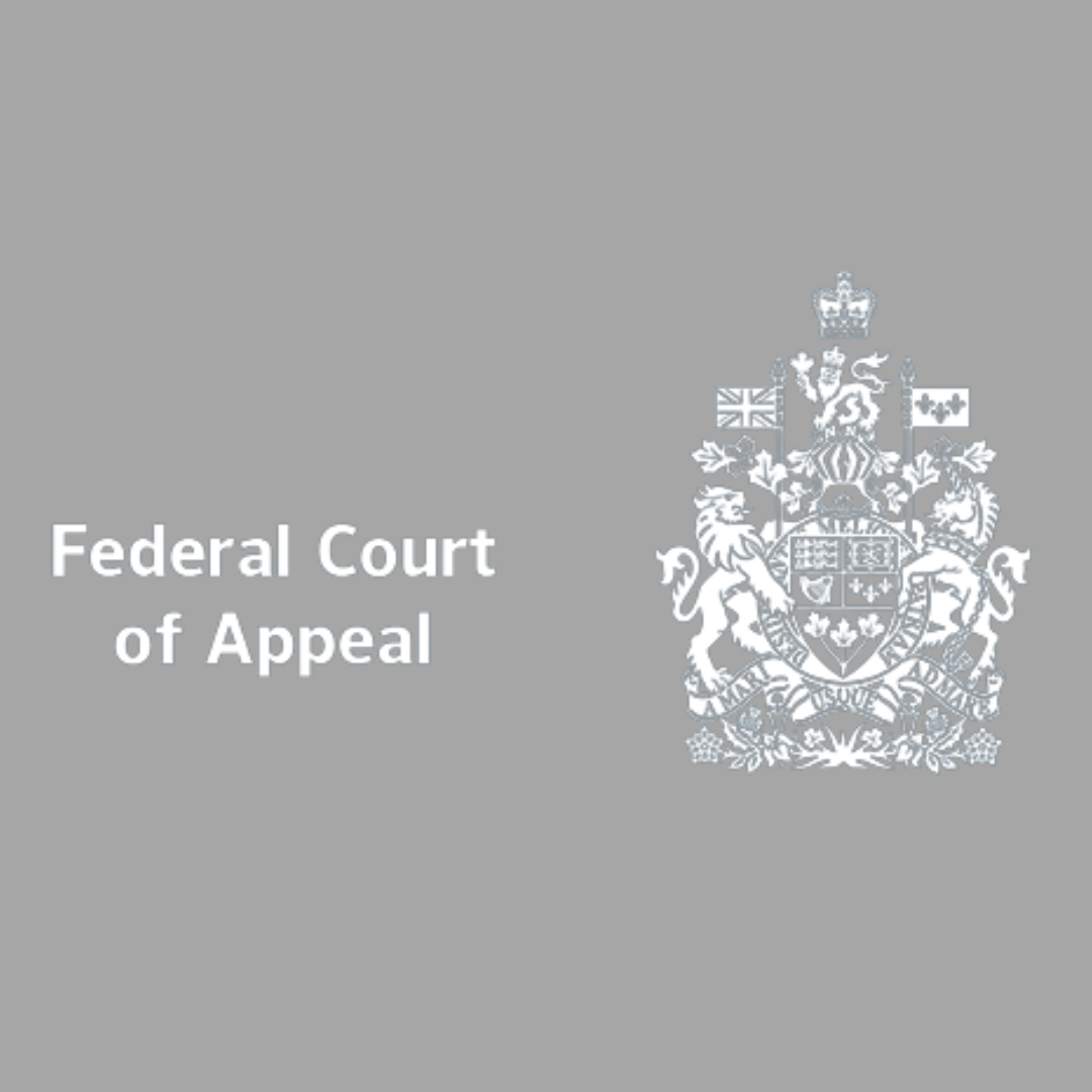 Federal Employee Lawsuit Update- Federal Court of Appeal Court Date November 8th