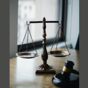 Vaccine Travel Mandate Appeal Filed By Hon Brian Peckford et al, Dismissed