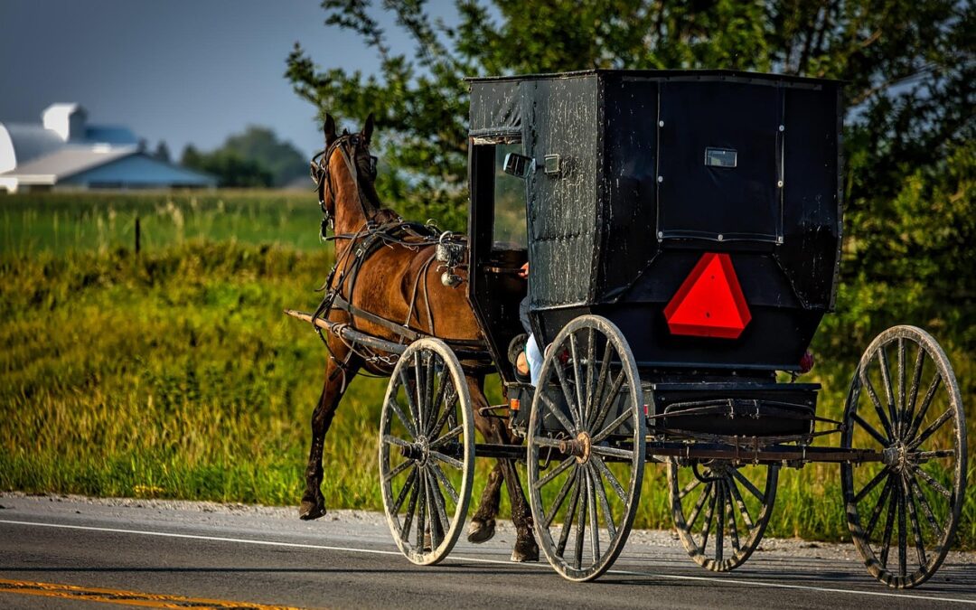 The Democracy Fund Sees Crown Drops All Quarantine Act Charges Against Amish