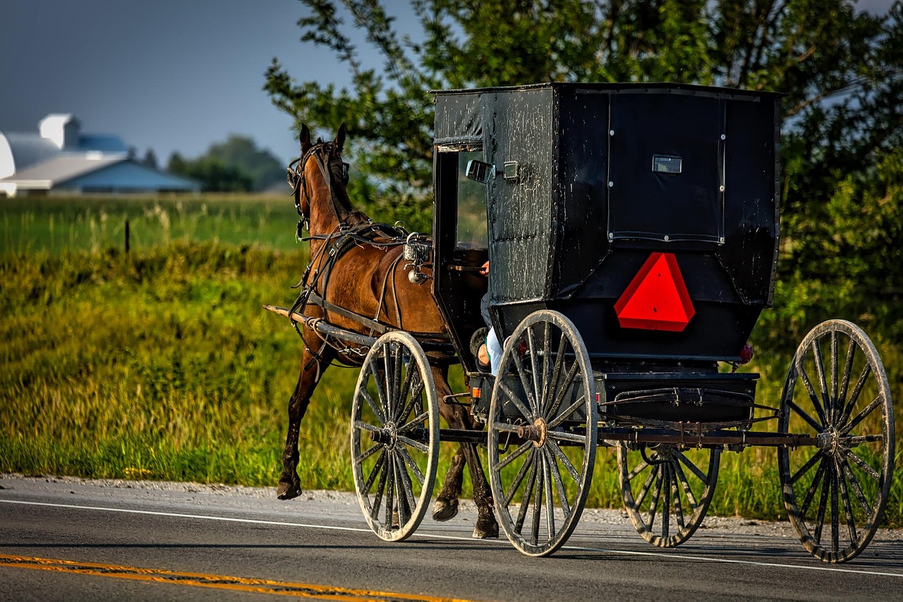 The Democracy Fund Sees Crown Drops All Quarantine Act Charges Against Amish